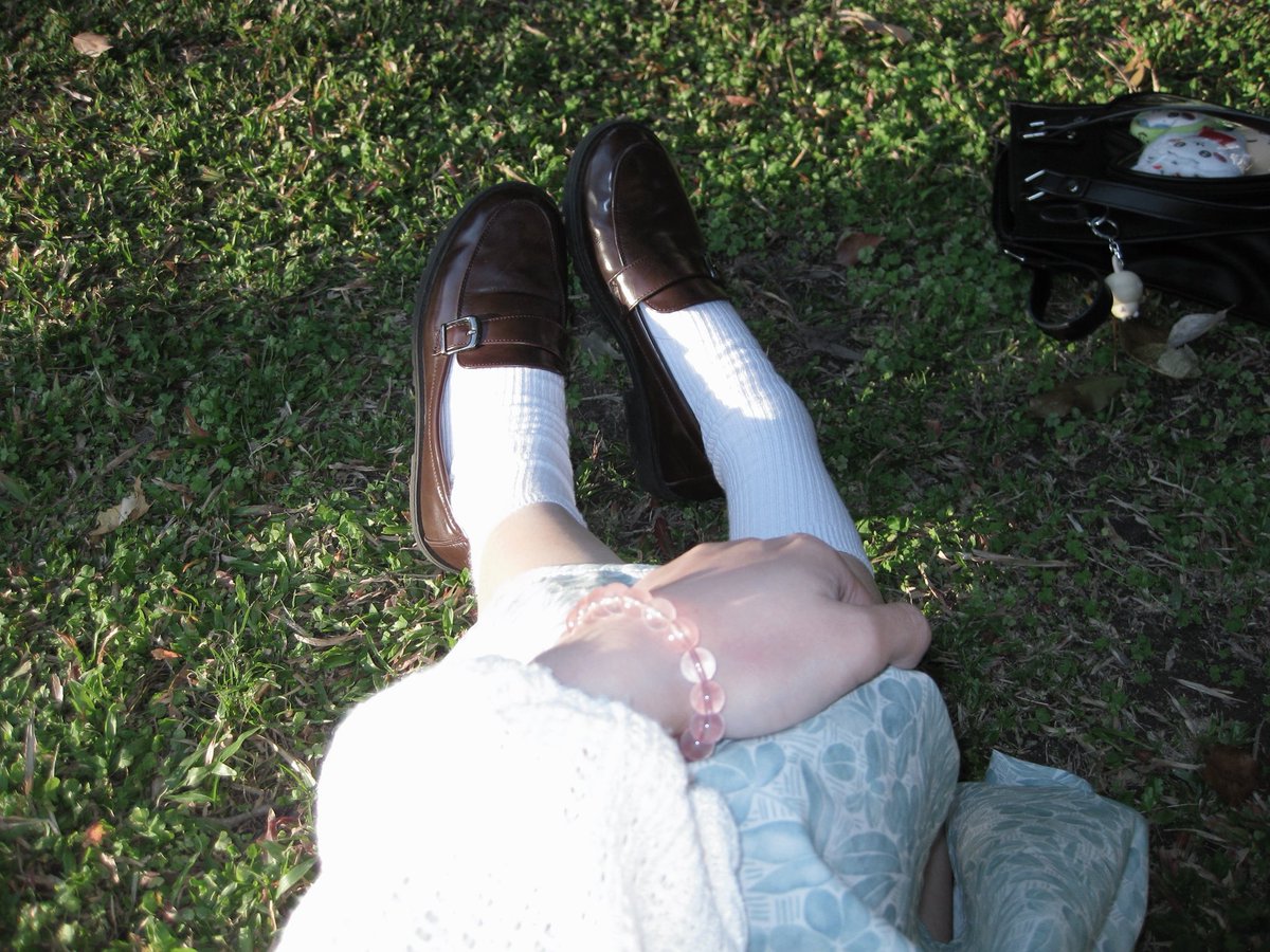 南长尾山雀 tweet media