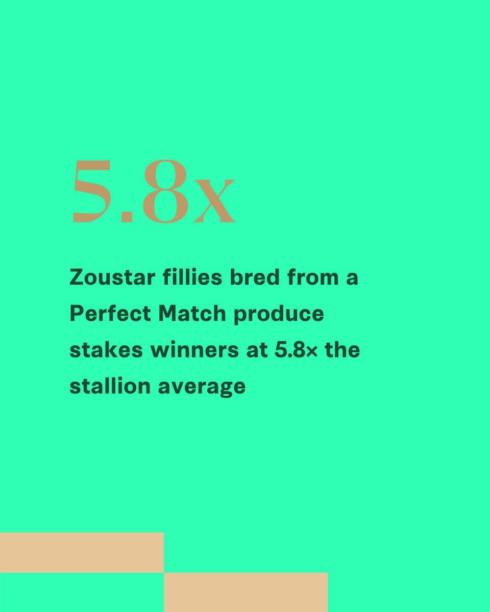 stallionmatch's tweet image. 🚨 NEW on Stallion Match — Espionage (Zoustar x In Times Of War)
📍 @Lovatsville, VIC | $11,000
🏆 2 SW from 10 starts | $397k earned
📊 up to 5.8x stakes winning success potential
🔍 stallionmatch.com/stallion-search
#StallionMatch #Espionage #NewStallion #ThoroughbredBreeding