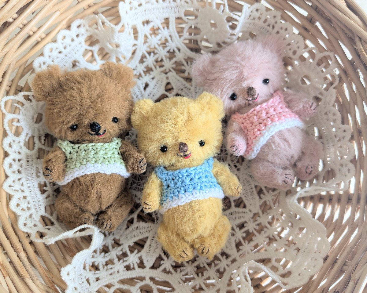 ちさ/テディベア作家🐻 tweet media