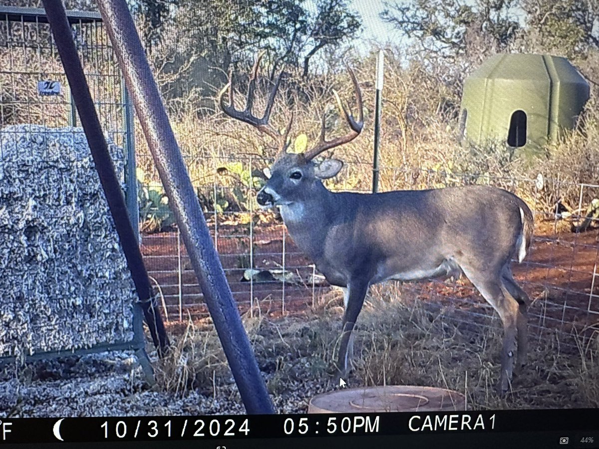 Jonathan Cogburn, LMFT tweet media