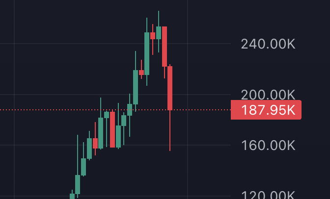 slingoor tweet media