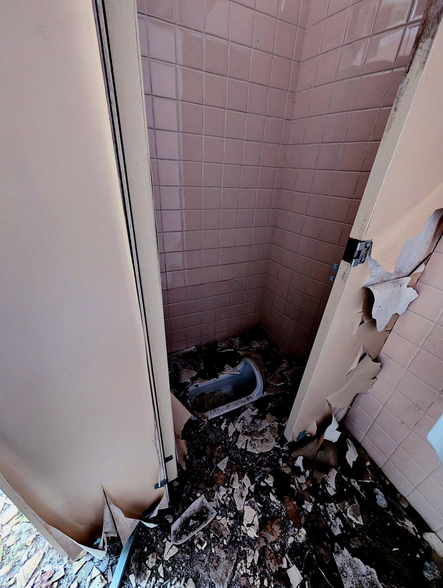 廃トイレ
#春の廃便所祭り 
#春の廃便所祭り2026