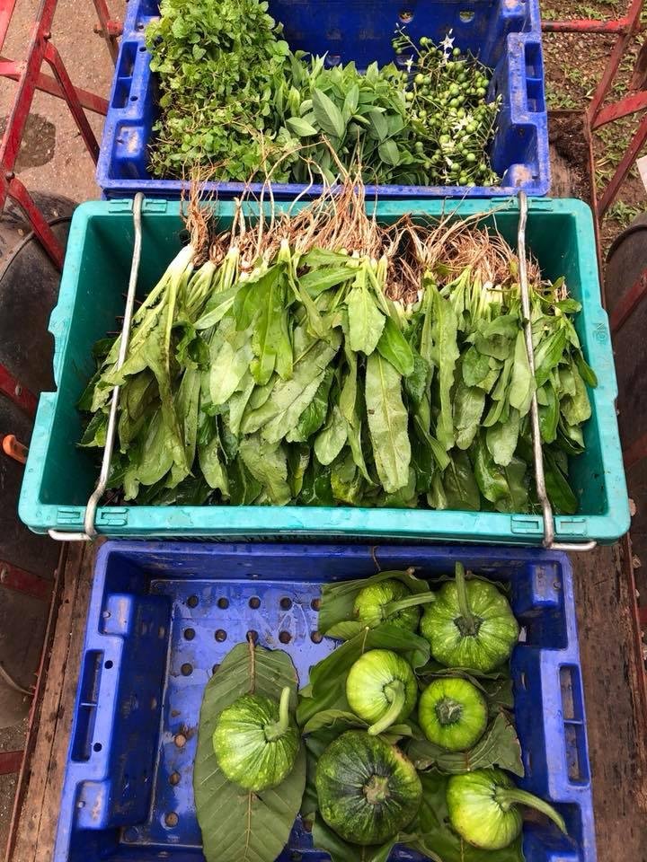 vnomenon 🇹🇭 tweet media