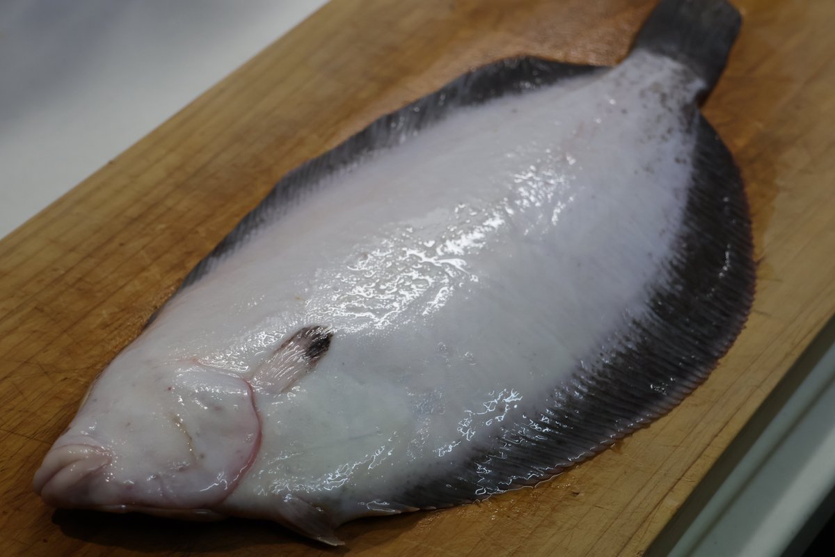 石川県漁業協同組合／JFいしかわ【公式】 tweet media