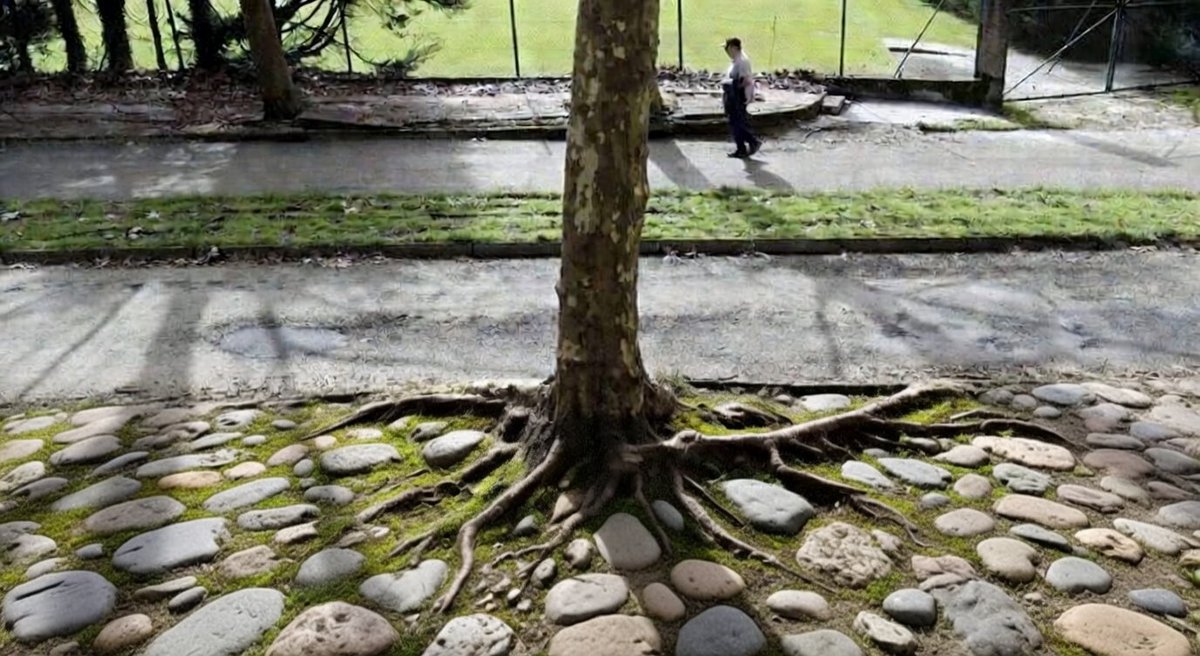 SantiagocapitaldeGalicia tweet media