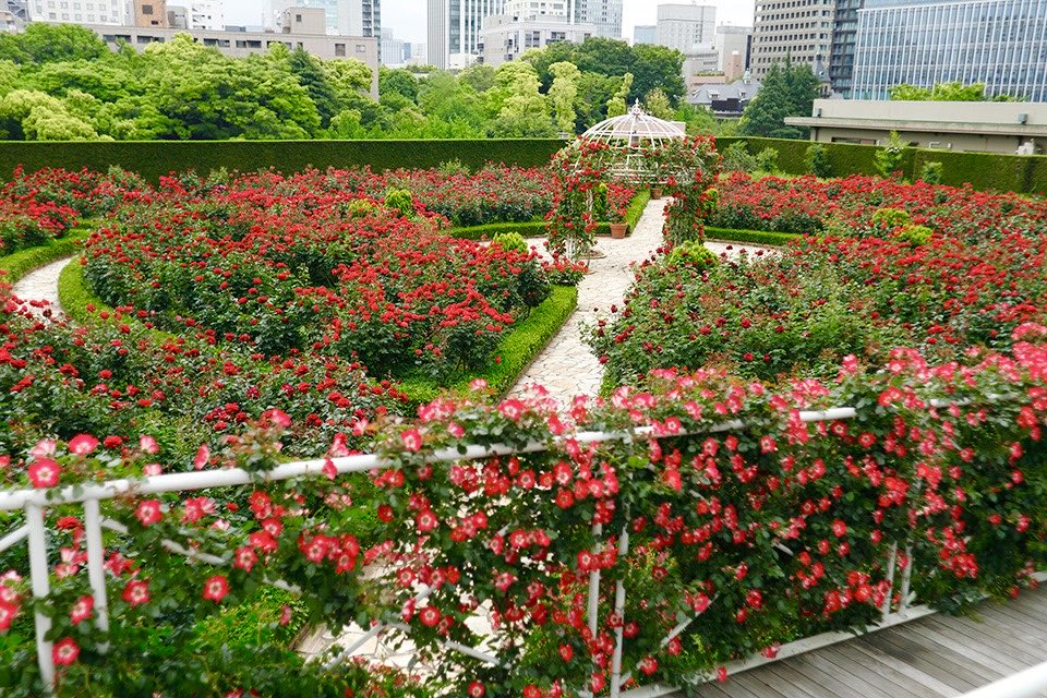 極上の旅図鑑 tweet media