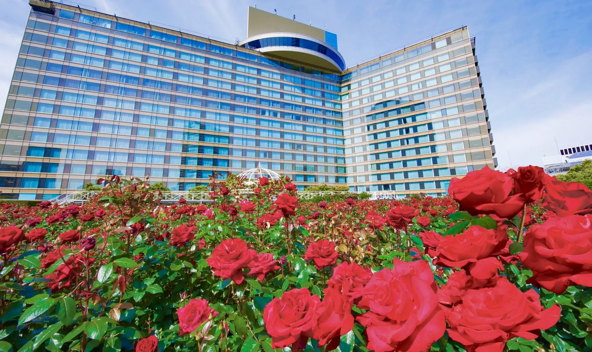 極上の旅図鑑 tweet media