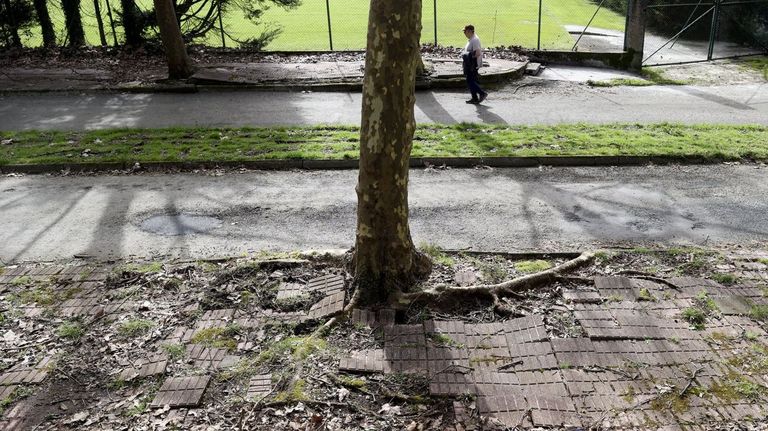 SantiagocapitaldeGalicia tweet media