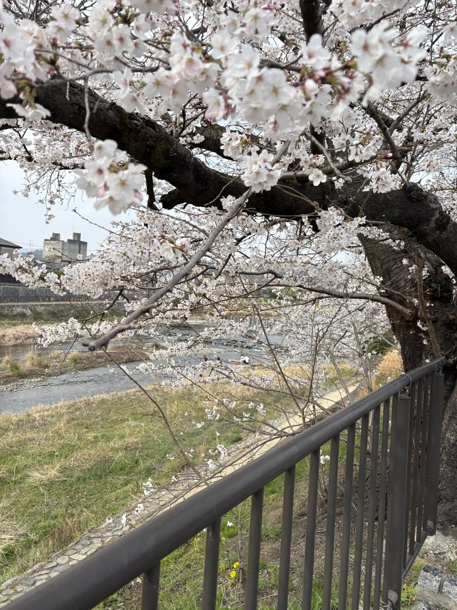 ぴーちゃん@調剤もOTCも在宅も tweet media