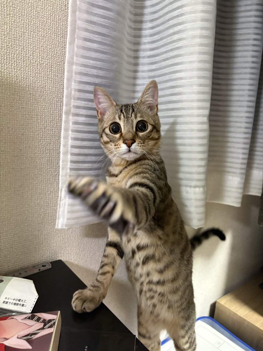 kavisuraimu's tweet photo. @Tendy0322 https://t.co/7U61Ryy49q