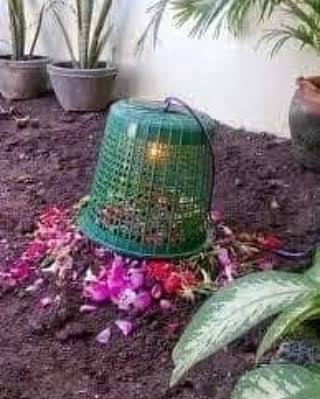 isabelle tweet media