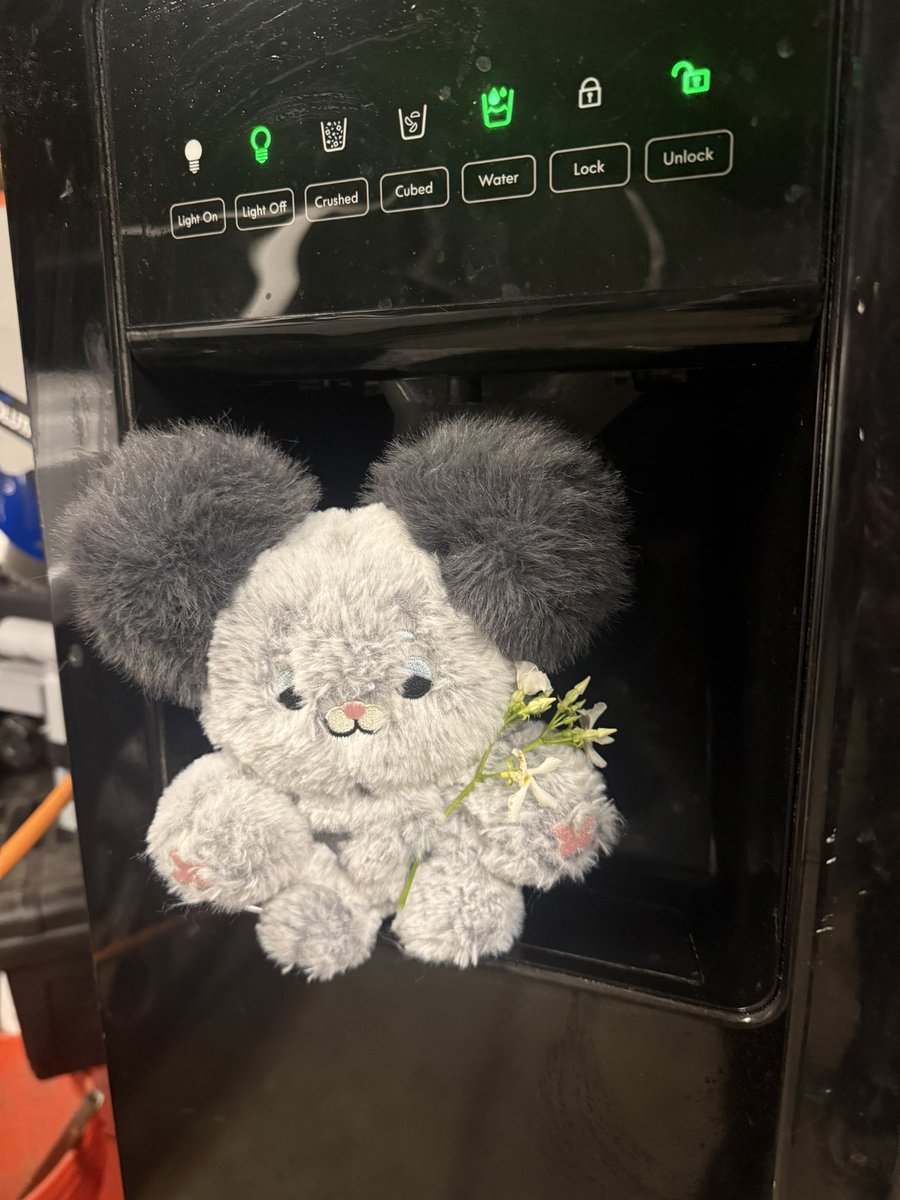 Hamil 햄일 ⚫️⚫️Ham-il tweet media