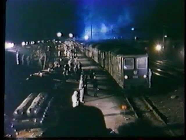 椿五十郎 tweet media