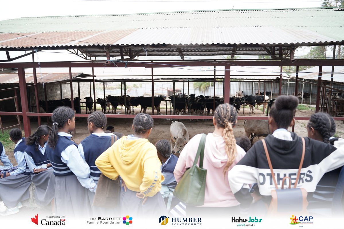 hahujobs's tweet image. STEEP completed its 6th field visit with Meskerem 2 students at the Ethiopian Livestock Development Institute. Students observed artificial insemination, genetic distribution to farmers, and disease control systems in cattle production.

#STEEP #Agriculture #Livestock #STEM