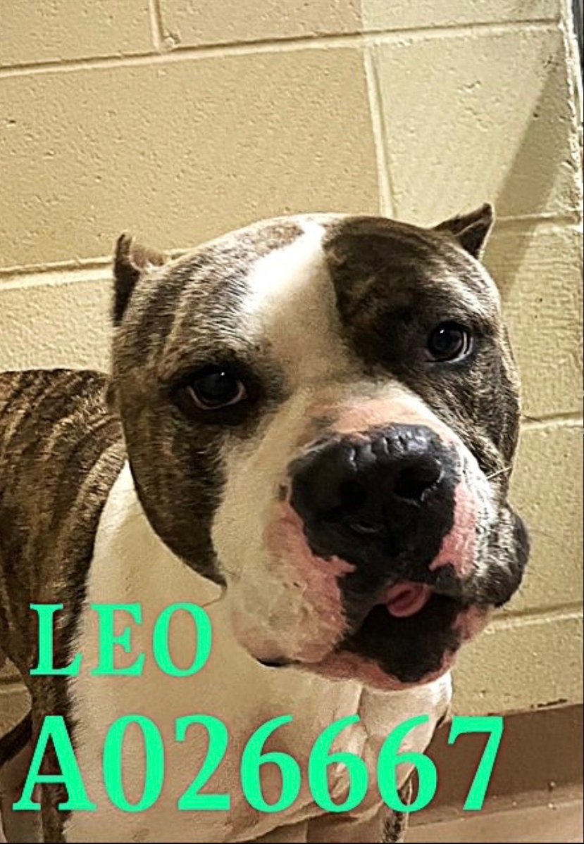 Fionaismybitch tweet media