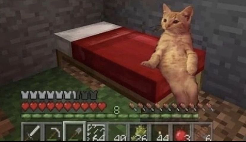 산광쥐밥 tweet media