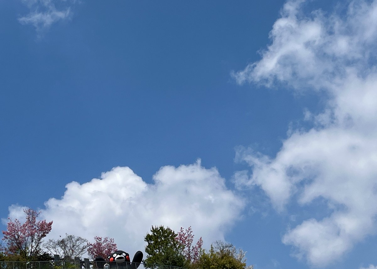 chikako🌲 tweet media