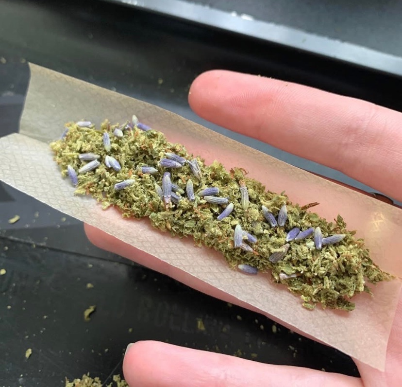 STONERS R US 🍃 tweet media