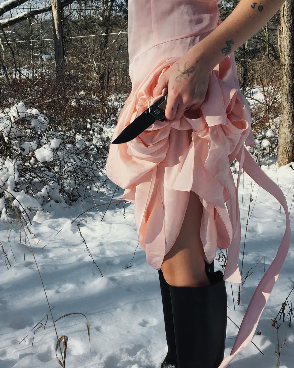 Daily Clairo tweet media