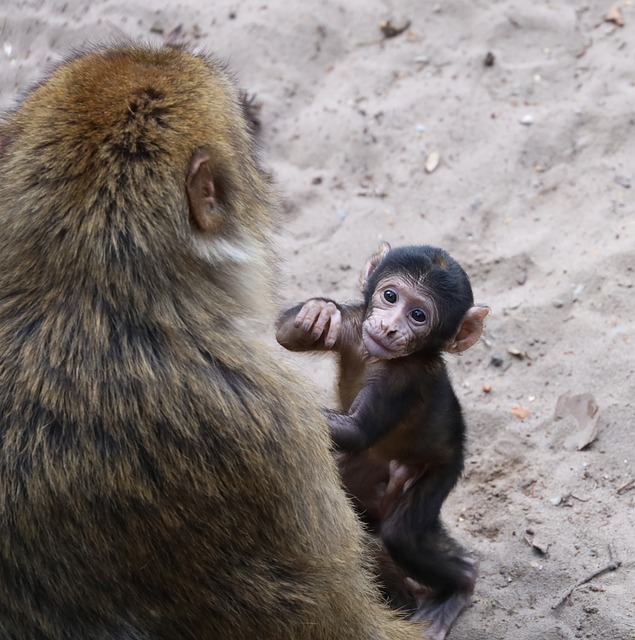 Shelley Johnson tweet media