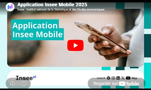 Insee océan Indien tweet media