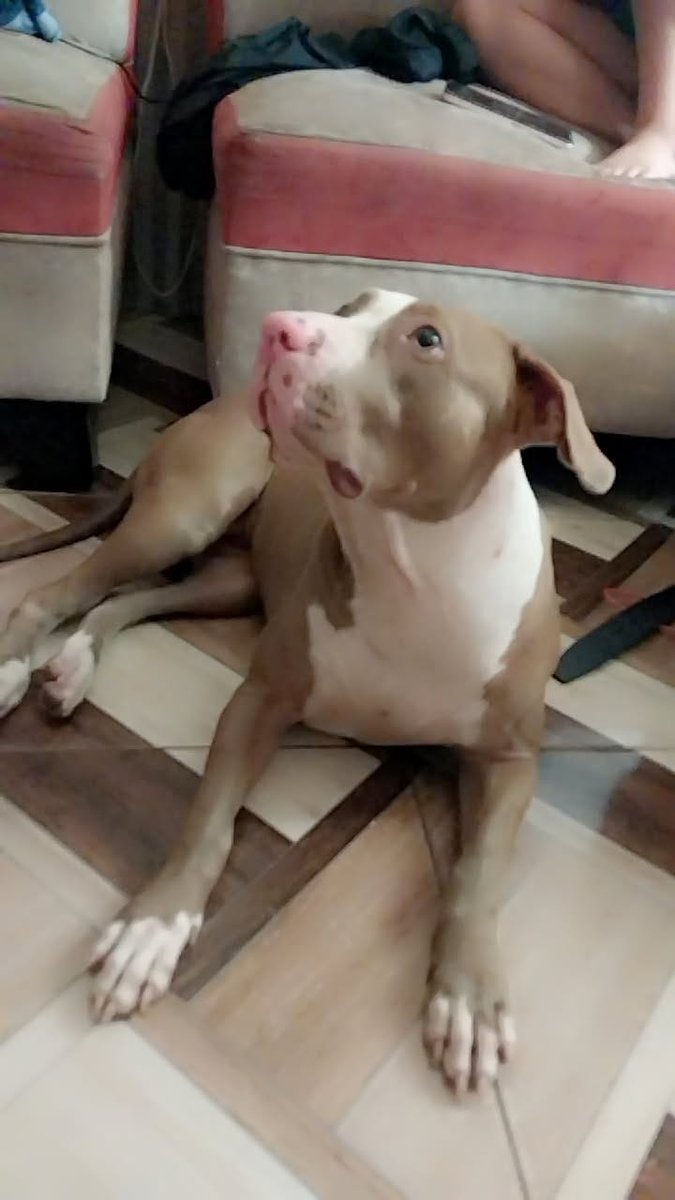 Bloque Defensores An tweet media