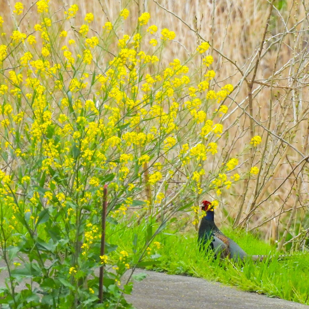 るもちゃん🌈とヒロ tweet media
