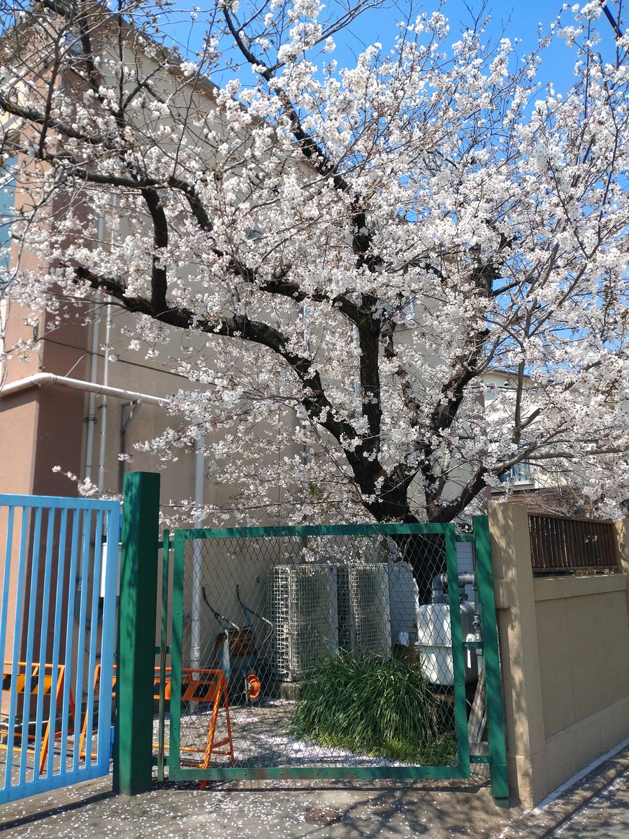 村上“アッシュ”篤史 tweet media