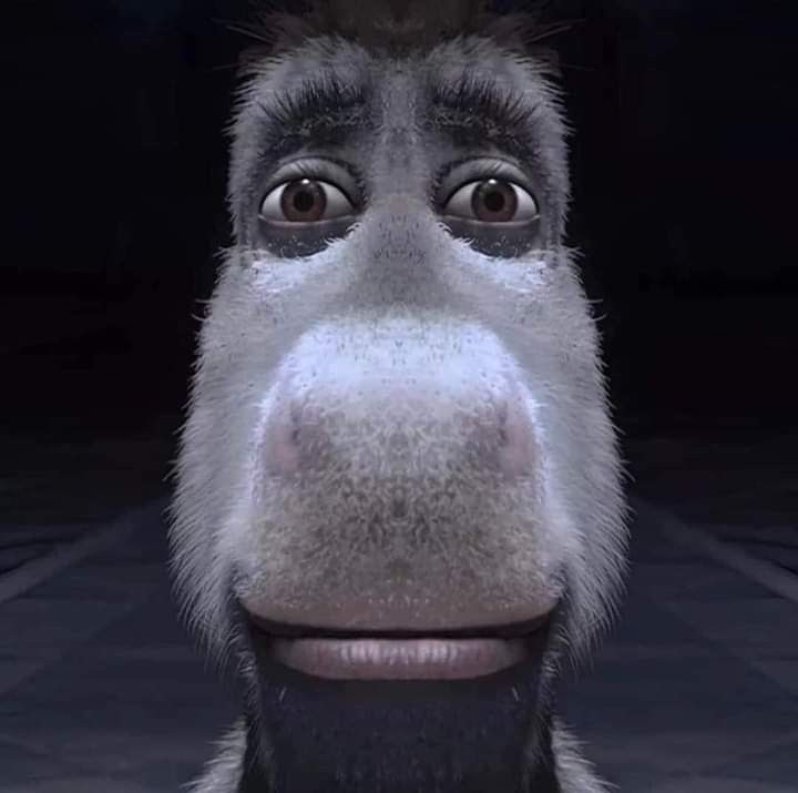 Andre | 🏆🧡 tweet media