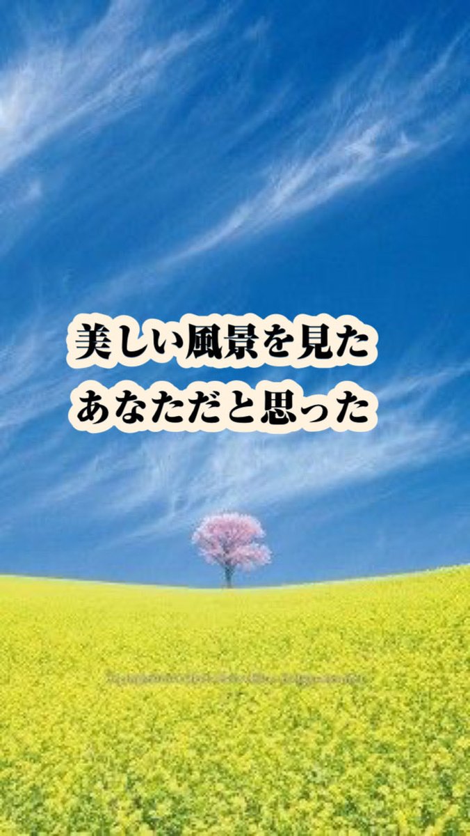 よっちゃん tweet media