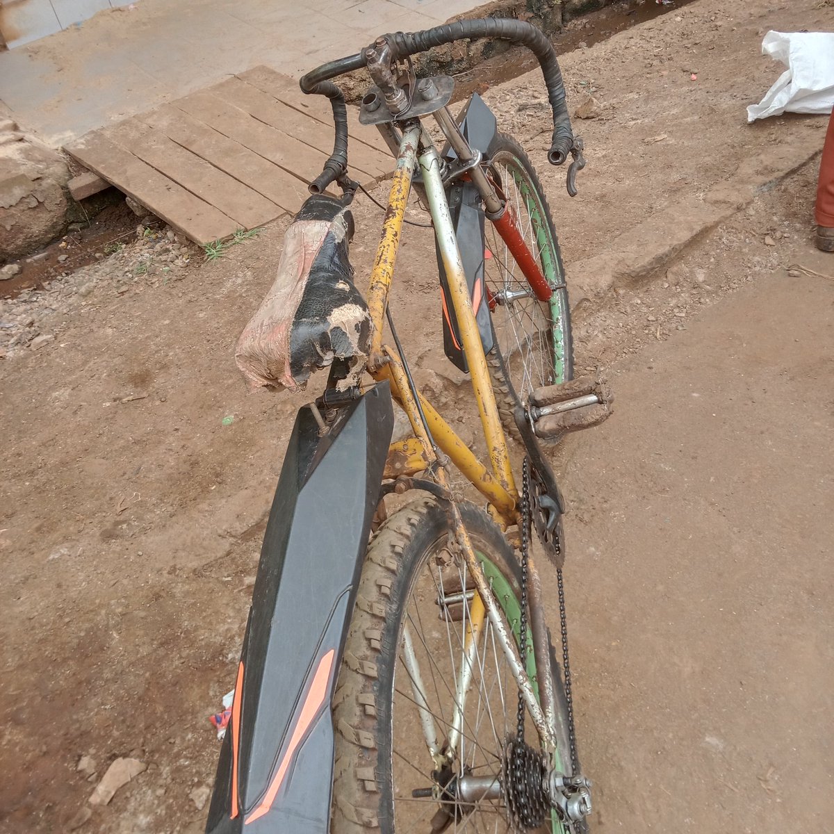 notyboi 🦁🦁 tweet media