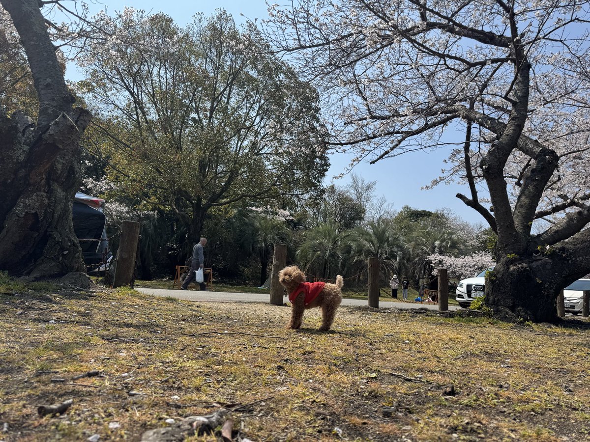 daiki99_h's tweet photo. https://t.co/tcPTDV1Vo9