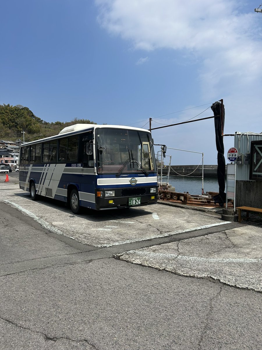 🌱チュリネガチ勢〜chlorobule〜 tweet media