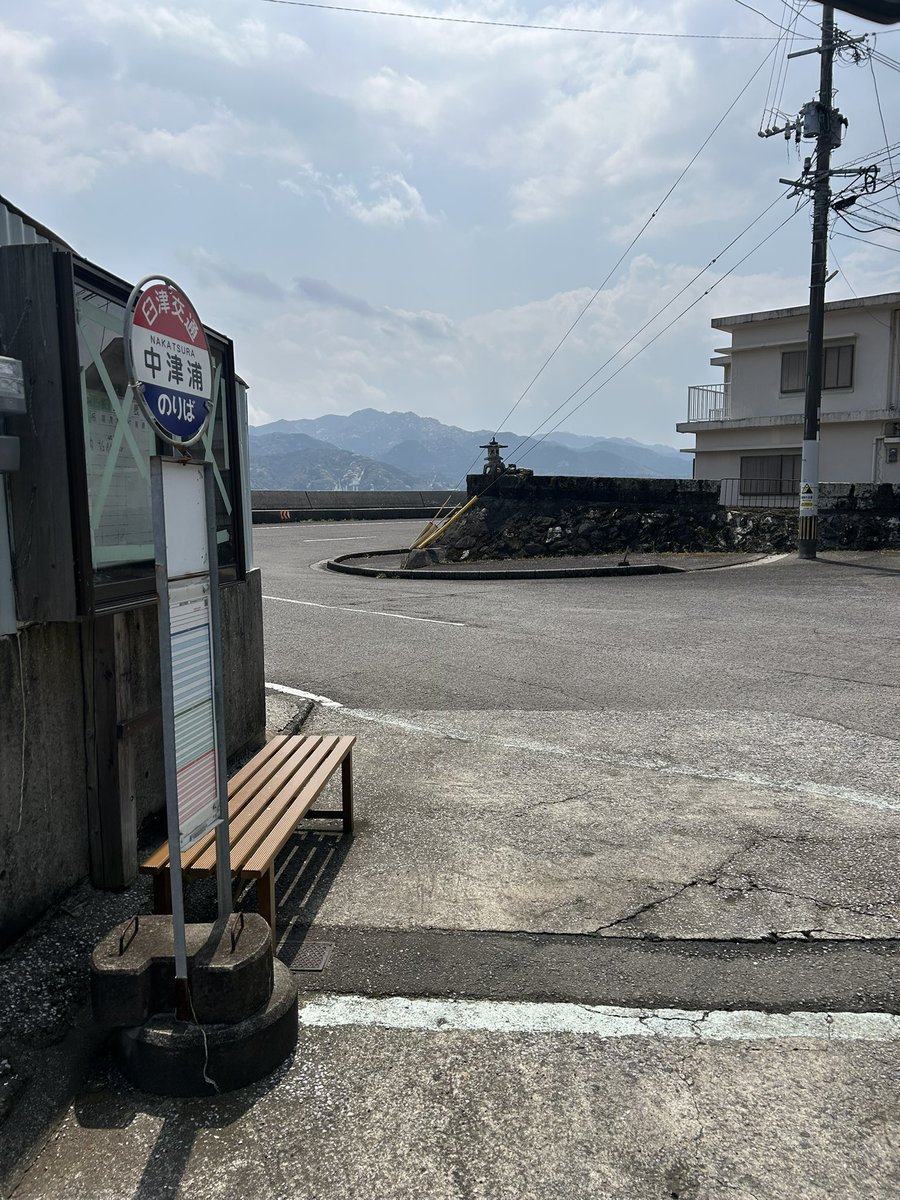 🌱チュリネガチ勢〜chlorobule〜 tweet media