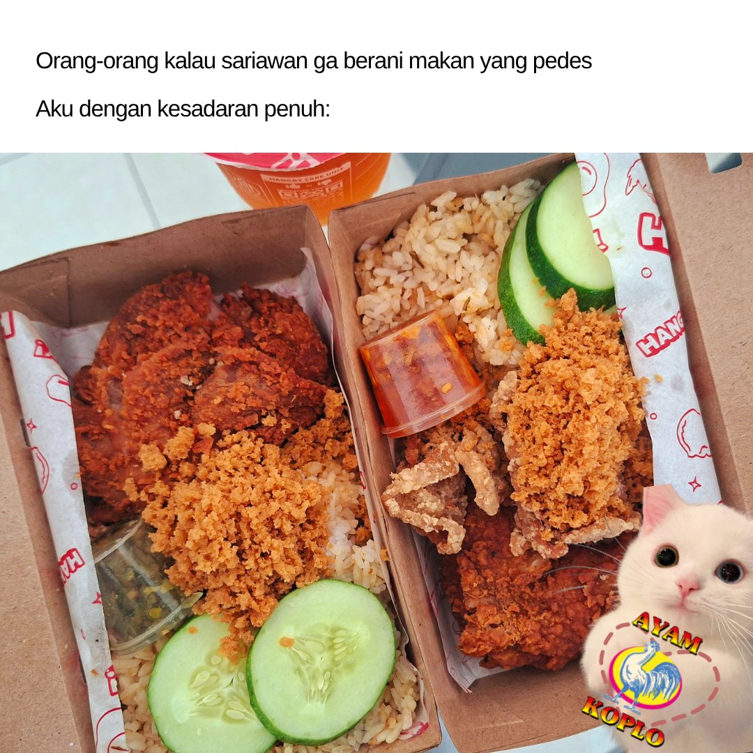 Bibir boleh sariawan, tapi makan harus tetep pake Ayam Koplo <a href="/ayamkoploid/">Ayam Koplo</a> 🥰