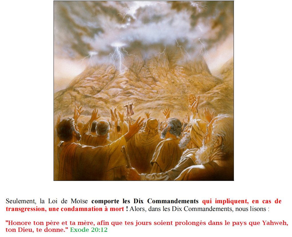 Panzer777General tweet media