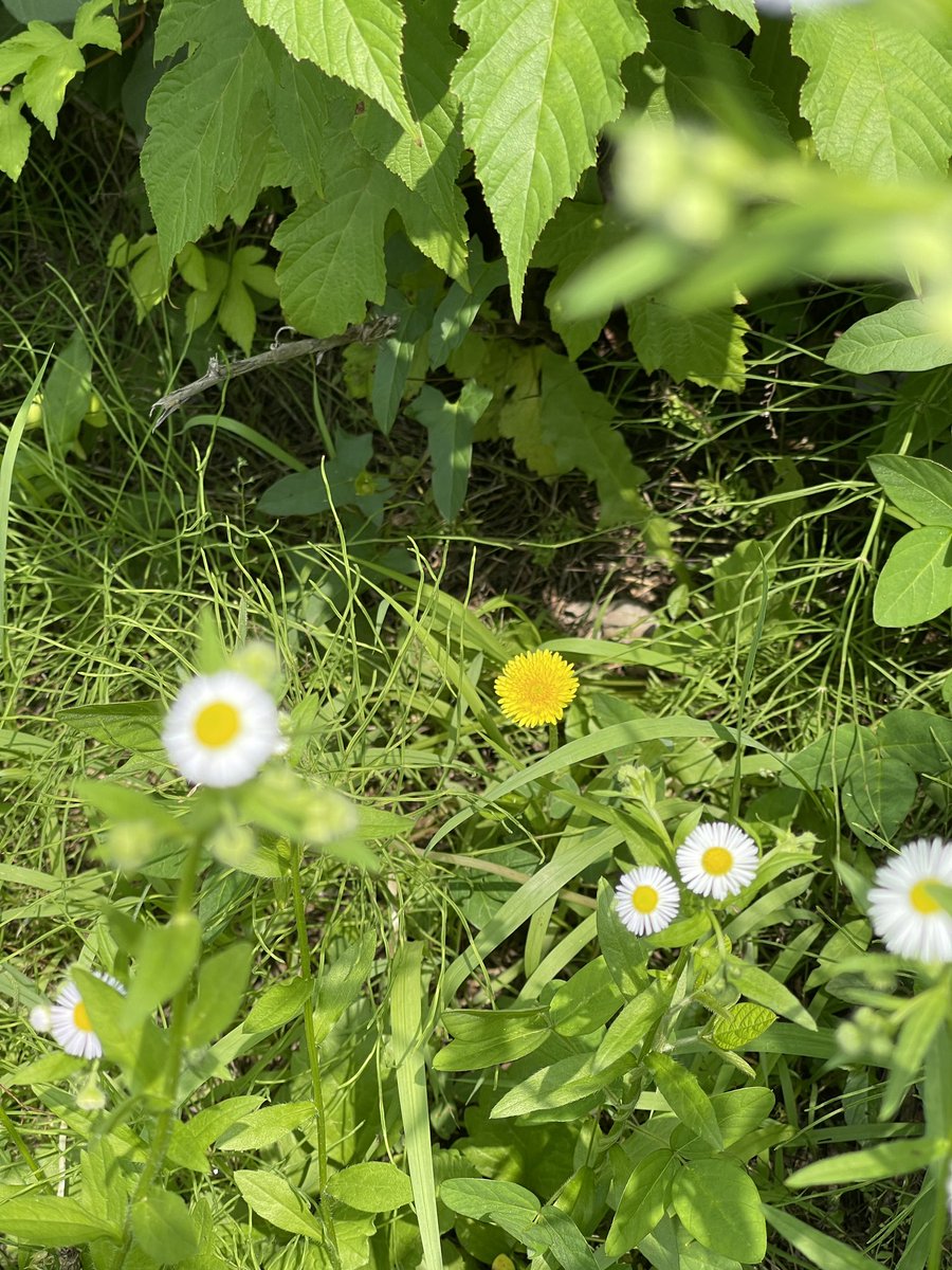 한미소 tweet media