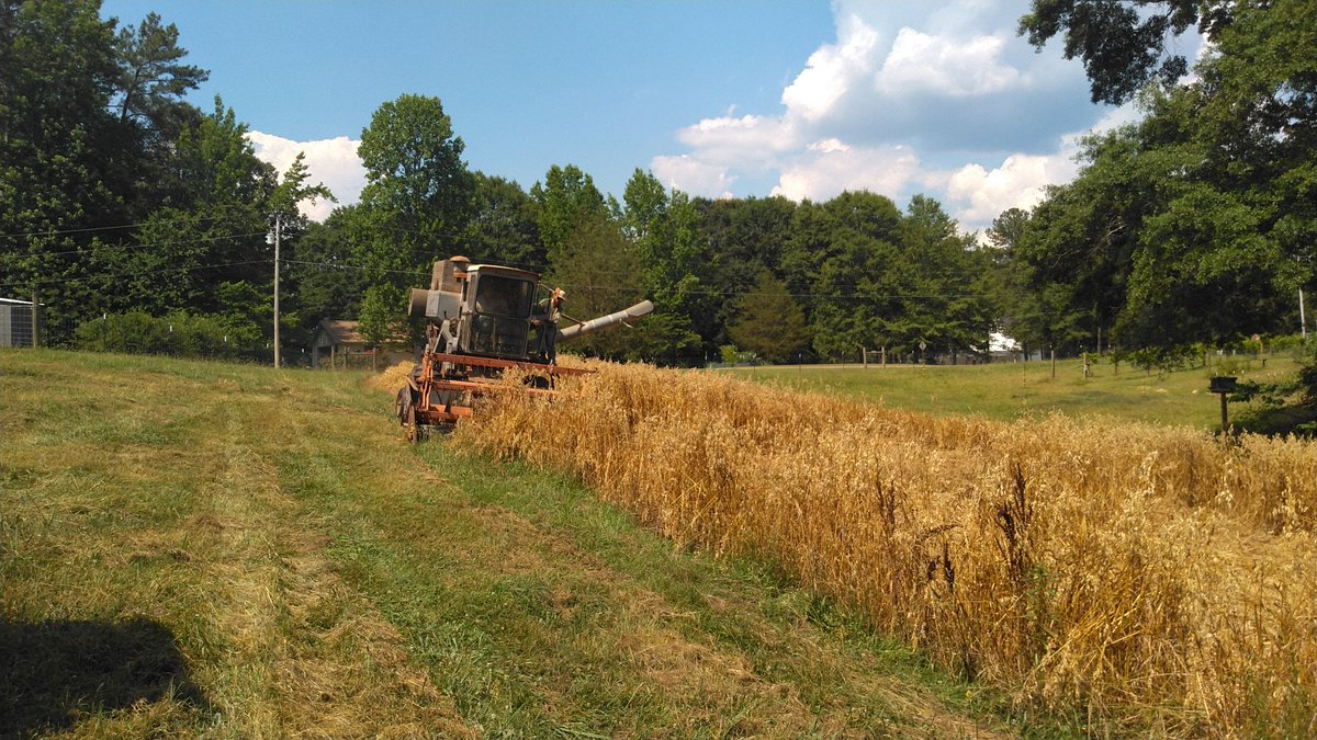 Lilly Light tweet media