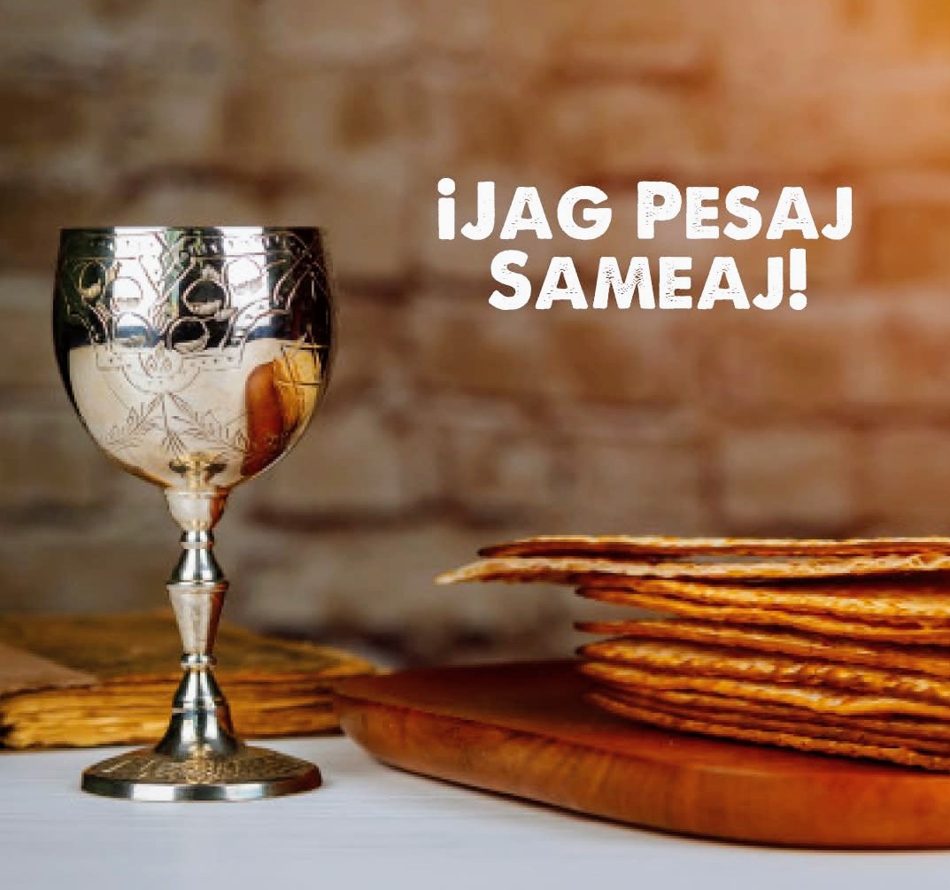 NICO SINGER tweet media