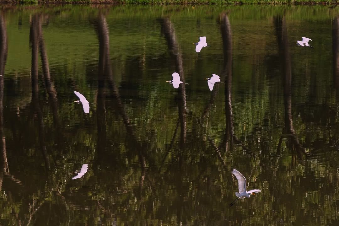 资按源摩线会下所喝丝茶足spa上成海都深武圳汉广西州安天杭津州长青沙沈岛阳郑太州原南北京 tweet media