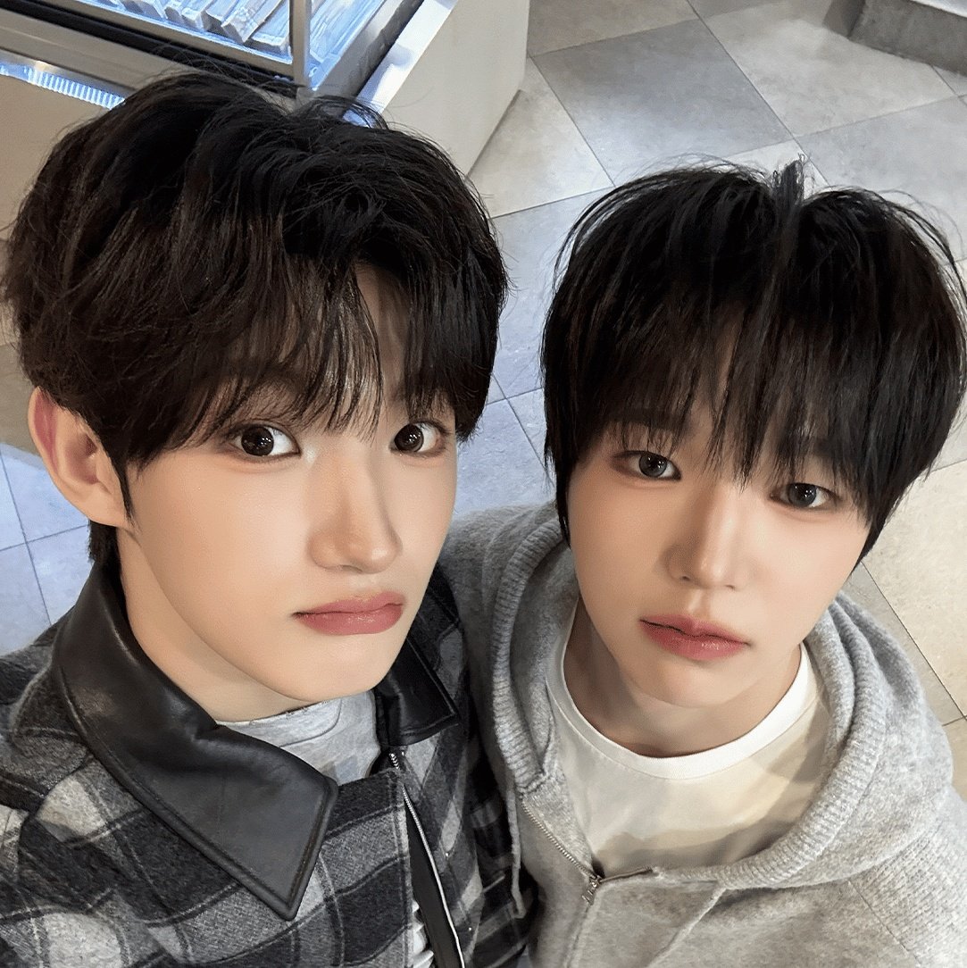 jaeyoung as cats tweet media