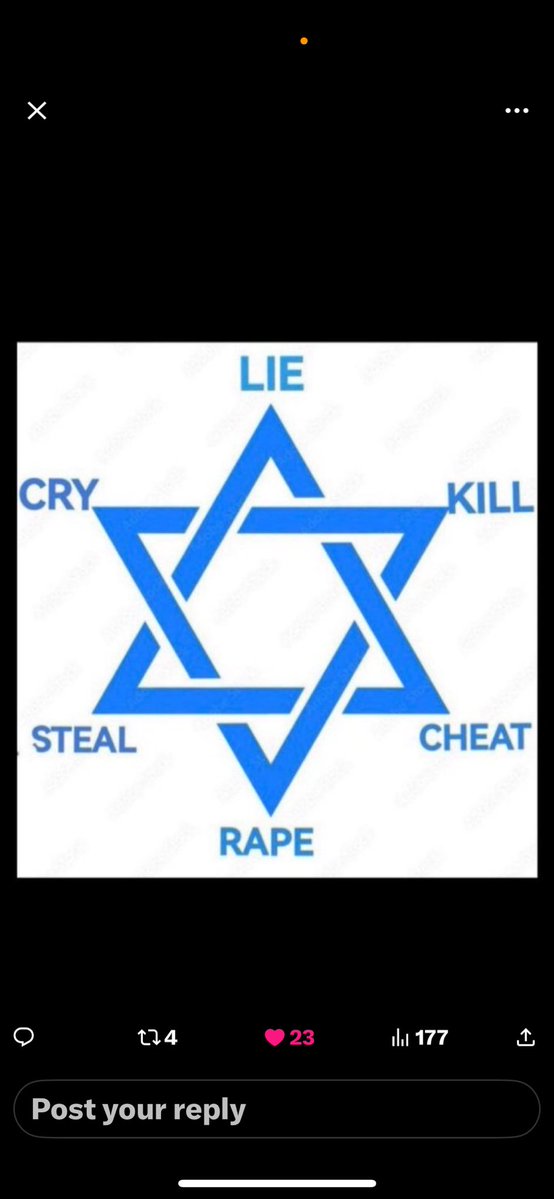 Majda Nesh ✝️ tweet media