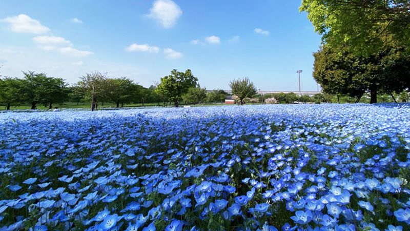 イベントチェッカー製作委員会 tweet media