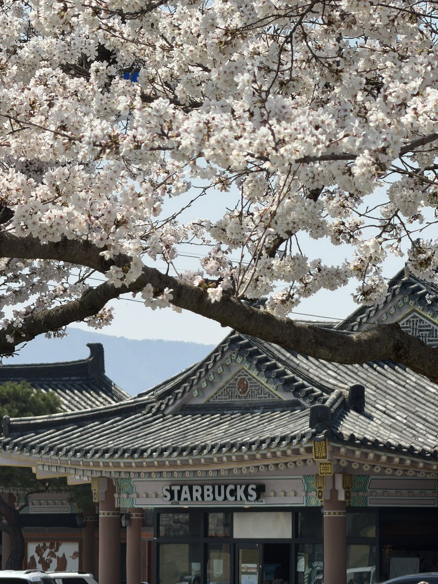 백🎗 tweet media