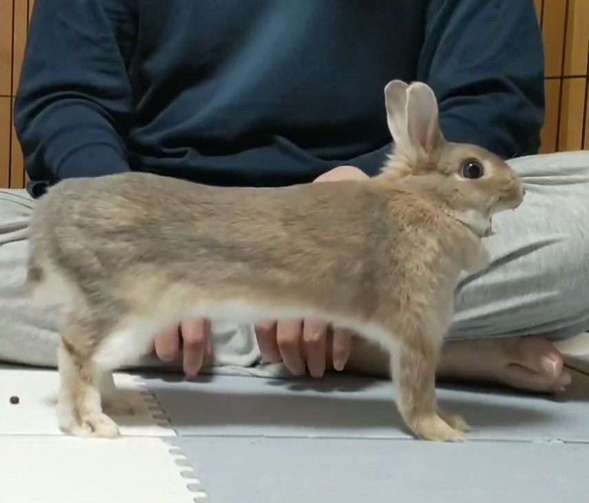 こはるパパ tweet media