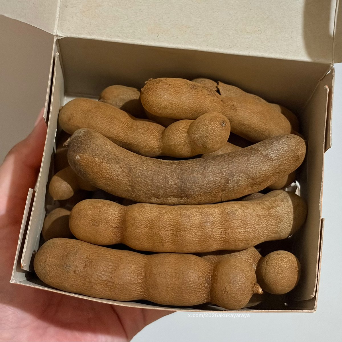 Bunga🌾 tweet media