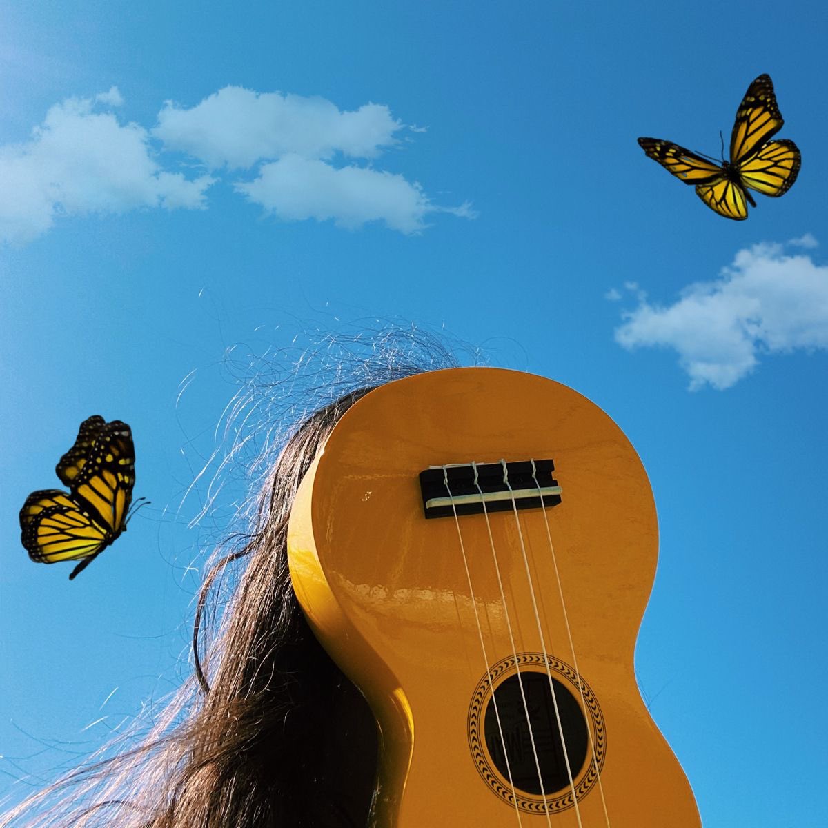 unregistered hypercam 2 tweet media