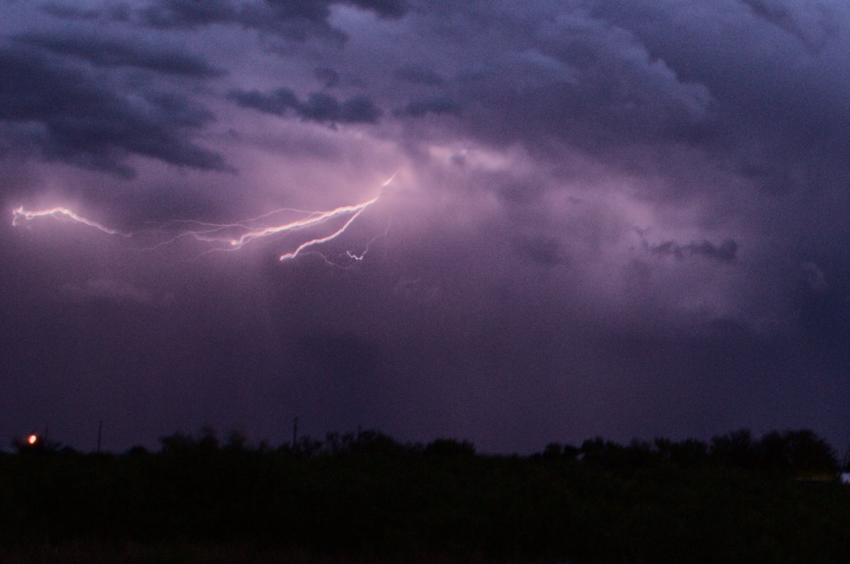 ScathTheFloof tweet media