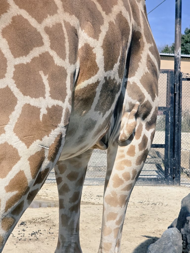 ゆうき tweet media