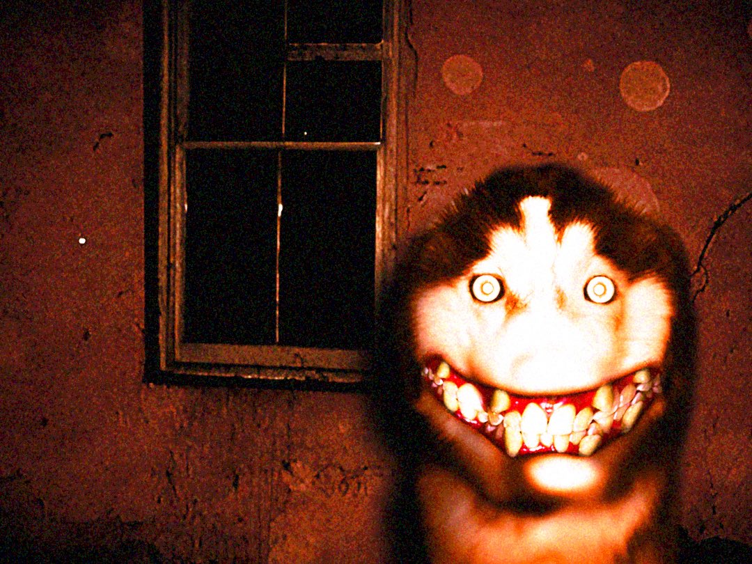 ZandarThunder tweet media